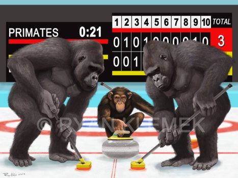 primates playing curling alt-text for image primates playing curling alt-text for image