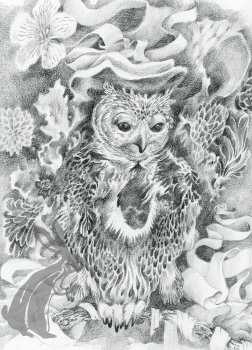 pencil drawing of owl surrounded by ribbon and flowers alt-text for image pencil drawing of owl surrounded by ribbon and flowers alt-text for image